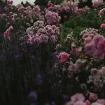 Ranczo W Dolinie * Kiszkowo