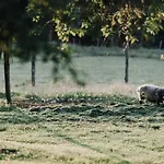 Ranczo W Dolinie * Kiszkowo