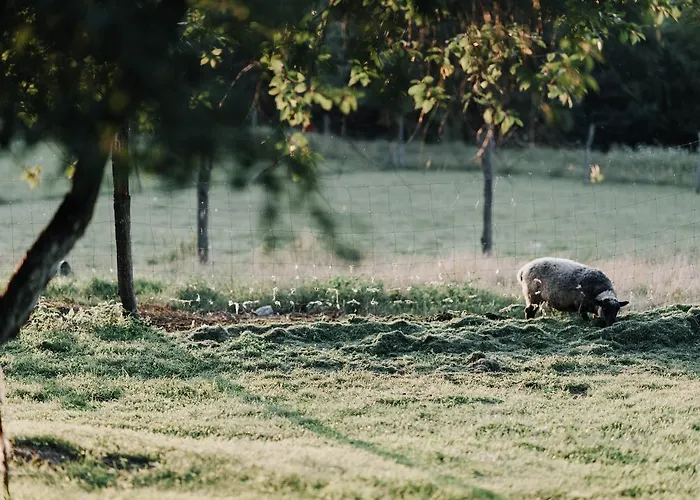 Ranczo W Dolinie * Kiszkowo